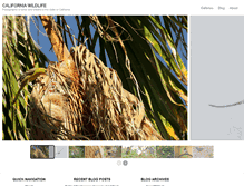 Tablet Screenshot of california-wildlife.com